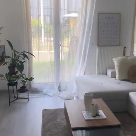 Appartement Cosy Et Bien Equipe 楠泰尔 外观 照片