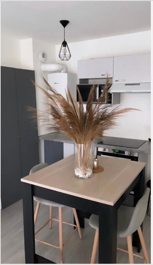 Appartement Cosy Et Bien Equipe 楠泰尔 外观 照片