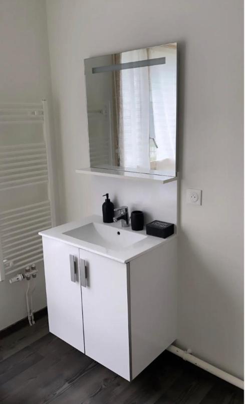 Appartement Cosy Et Bien Equipe 楠泰尔 外观 照片